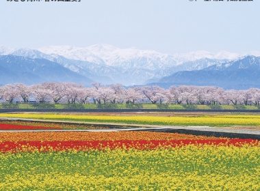 富山・富岩運河還水公園と水上ライン＆あさひ舟川『春の四重奏』